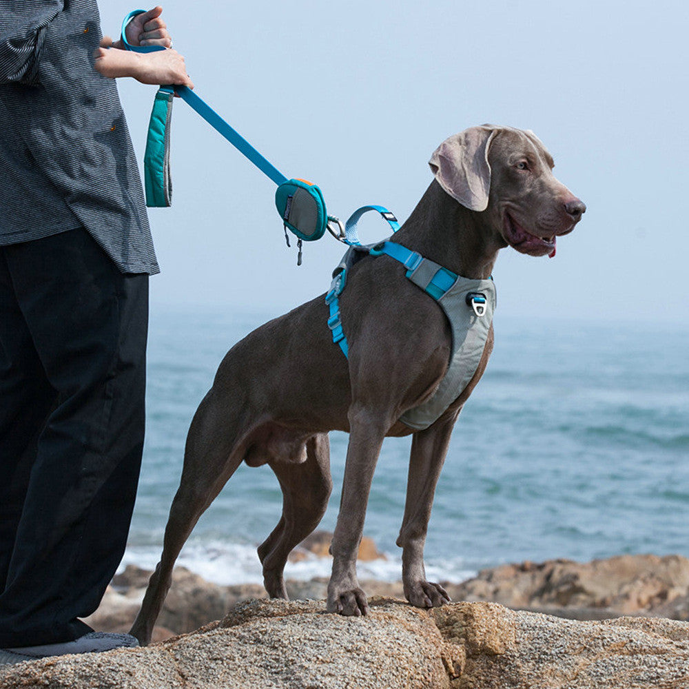 Discover the Ultimate Pet Chest Strap Harness With Storage Bag